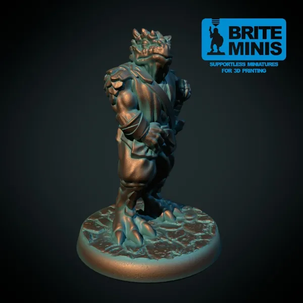 https://makerworld.bblmw.com/makerworld/model/DSM00000000153284/design/2024-01-23_uaof5kiysz9h.jpg