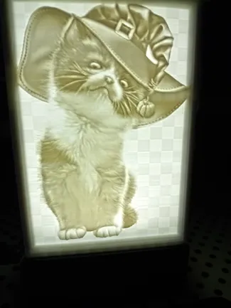 Box litho Cat humorious