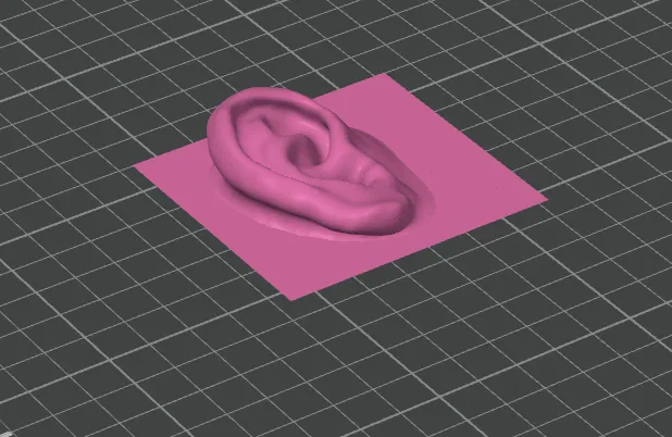 Human Ear