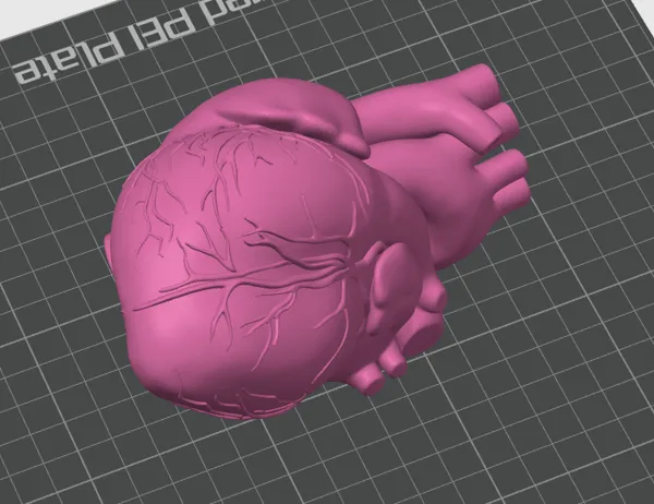 https://makerworld.bblmw.com/makerworld/model/DSM00000000155302/design/2024-01-24_4f63ca0d42075.png