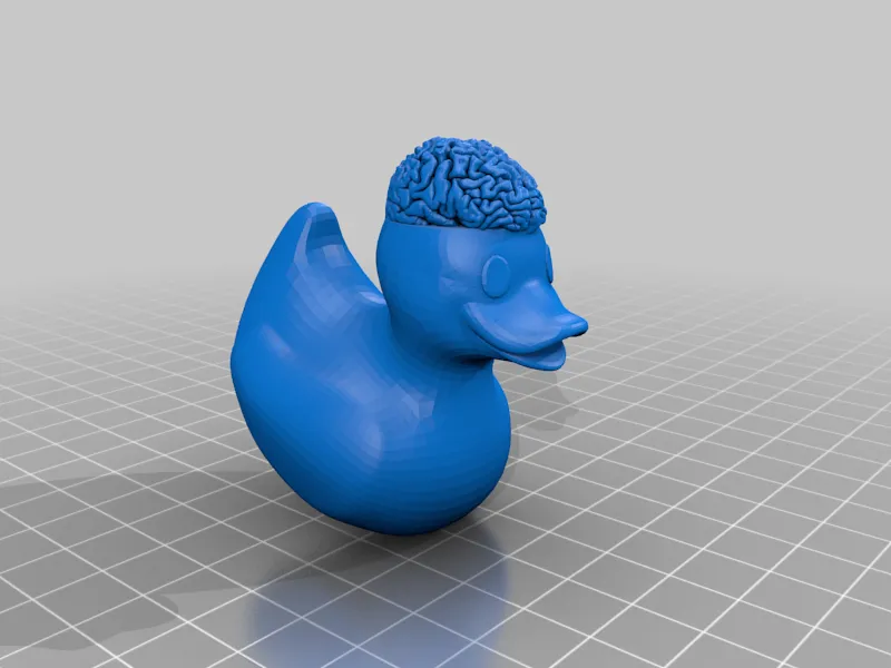Brain duck