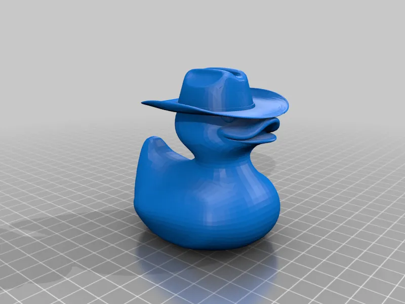 Cowboy Duck