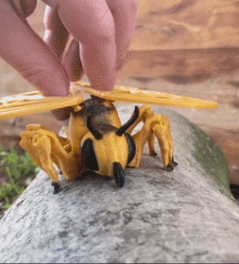 https://makerworld.bblmw.com/makerworld/model/DSM00000000156610/design/2024-01-25_081948fe2916f.gif