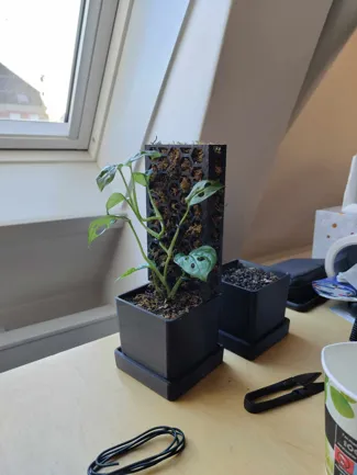 Moss pole/holder for propagation pot