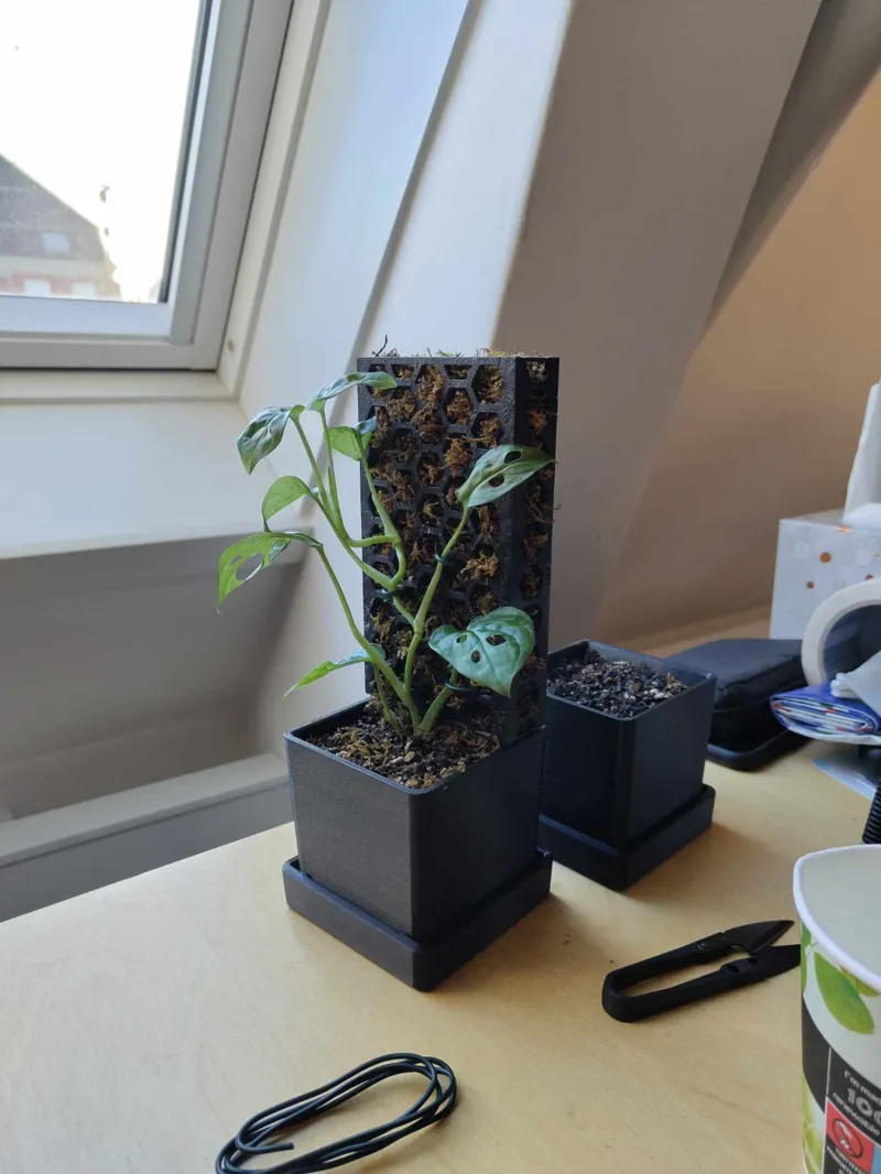 Moss pole/holder for propagation pot