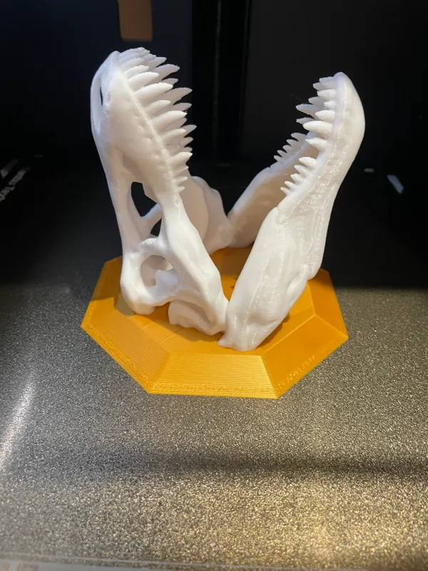 https://makerworld.bblmw.com/makerworld/model/DSM00000000157943/design/2024-01-26_1b8a57c26292a.jpg