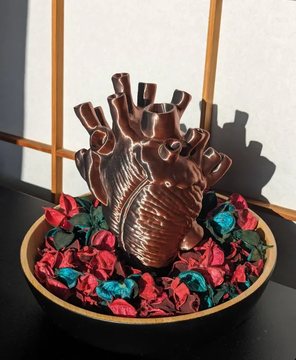 https://makerworld.bblmw.com/makerworld/model/DSM00000000158339/design/2024-01-27_9jua3xk2izsv.jpg