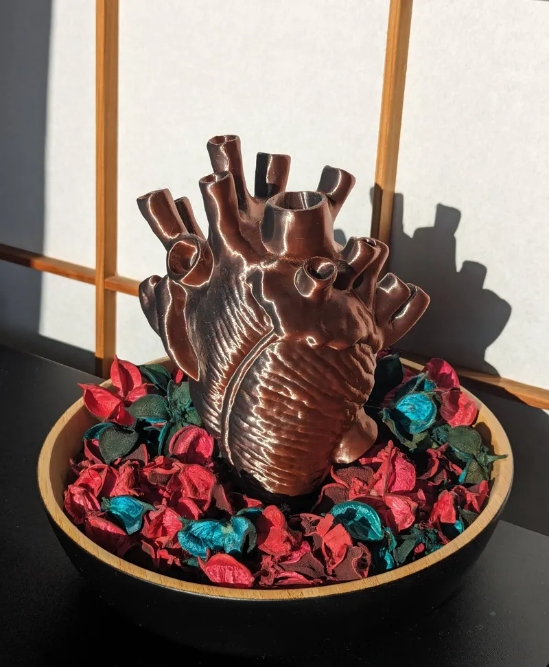 Anatomical heart - no supports needed - free standing