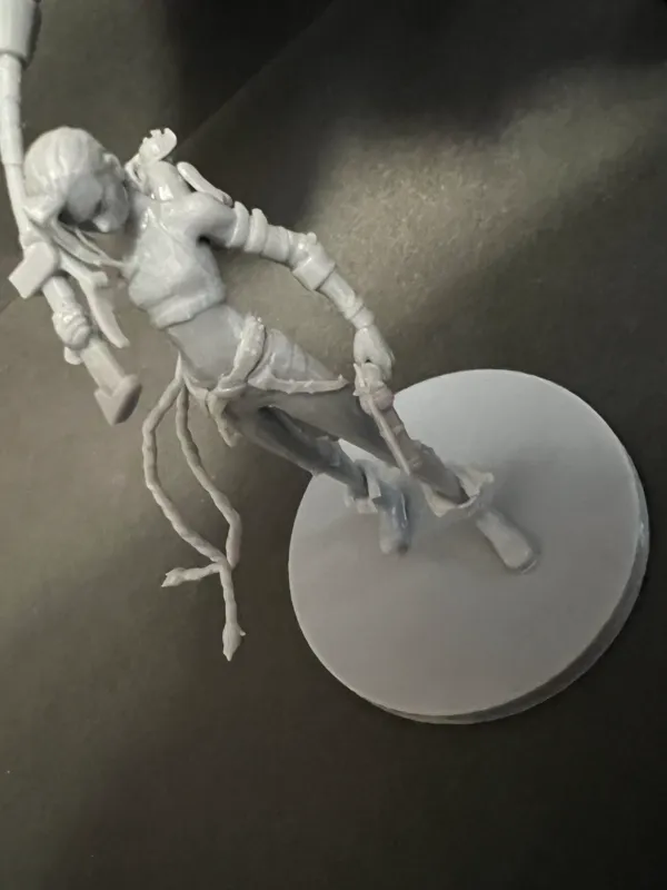 https://makerworld.bblmw.com/makerworld/model/DSM00000000160560/design/2024-01-28_320664363a6fd.jpg