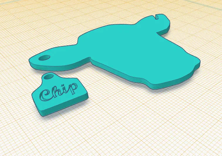 Chip
