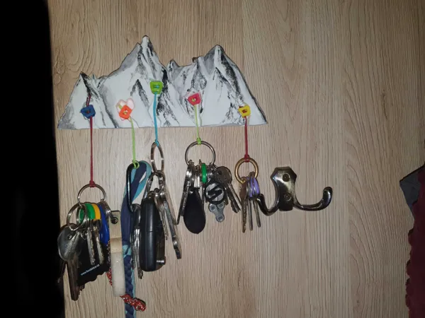 https://makerworld.bblmw.com/makerworld/model/DSM00000000161779/design/2024-01-29_f95cee31491ea.jpg