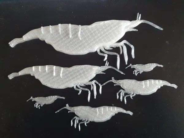 https://makerworld.bblmw.com/makerworld/model/DSM00000000162488/design/2024-02-15_876a484b1bdf7.jpg