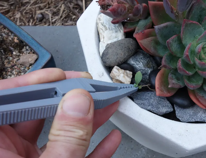 Toothy Tweezers