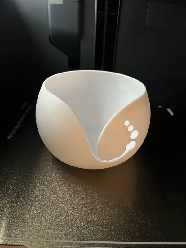 https://makerworld.bblmw.com/makerworld/model/DSM00000000164856/design/2024-01-31_629eb4925055c.jpg