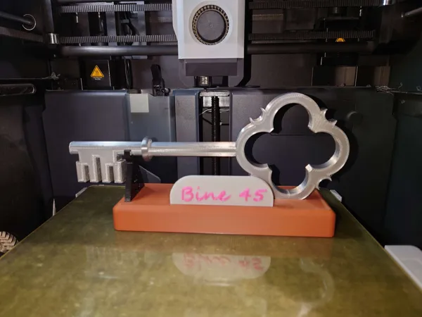 https://makerworld.bblmw.com/makerworld/model/DSM00000000165619/design/2024-01-31_3ef27ddfb79b2.jpg