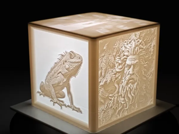 https://makerworld.bblmw.com/makerworld/model/DSM00000000167724/design/2024-02-02_0a0b3305b4401.jpg