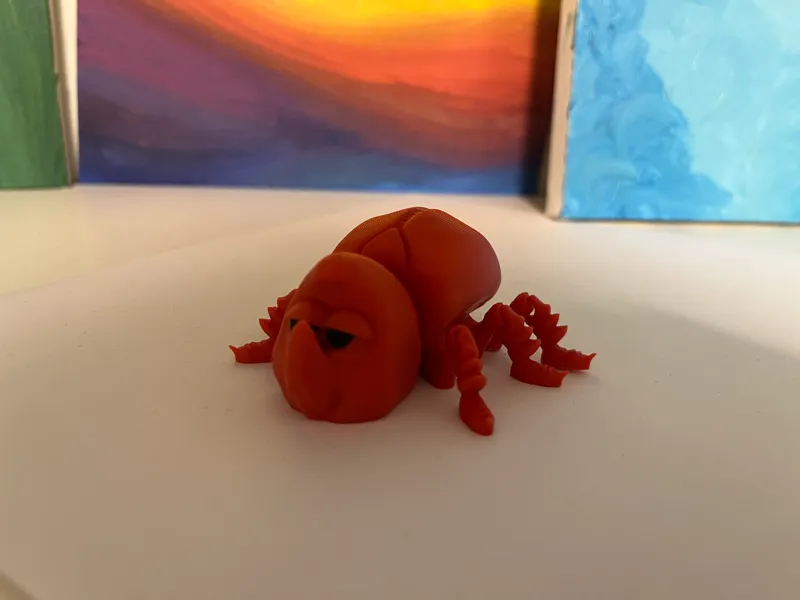 Flexi Beetle Bug with Hidden Box