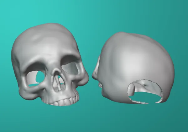 https://makerworld.bblmw.com/makerworld/model/DSM00000000168082/design/2024-02-03_7l772c9exw3p.png