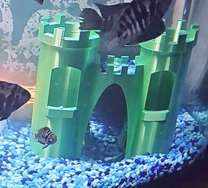 Castle Aquarium