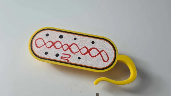 https://makerworld.bblmw.com/makerworld/model/DSM00000000169083/design/2024-02-03_8e62b23e9ed2b.jpg