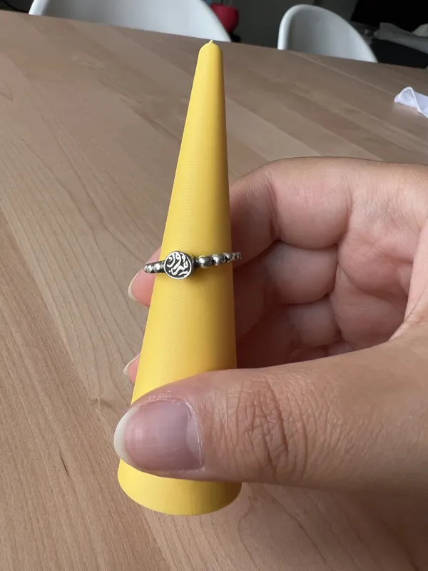 https://makerworld.bblmw.com/makerworld/model/DSM00000000169483/design/2024-02-04_tgn0ej0rew3x.jpg