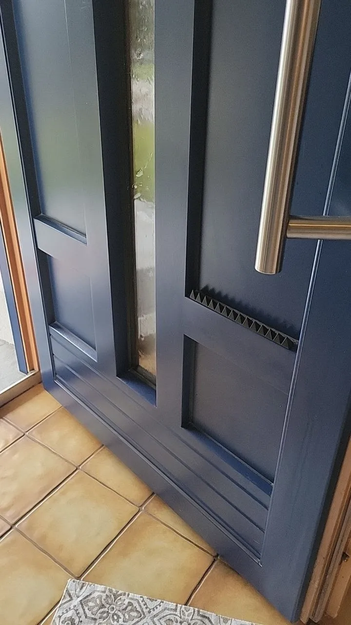 Cat Scare