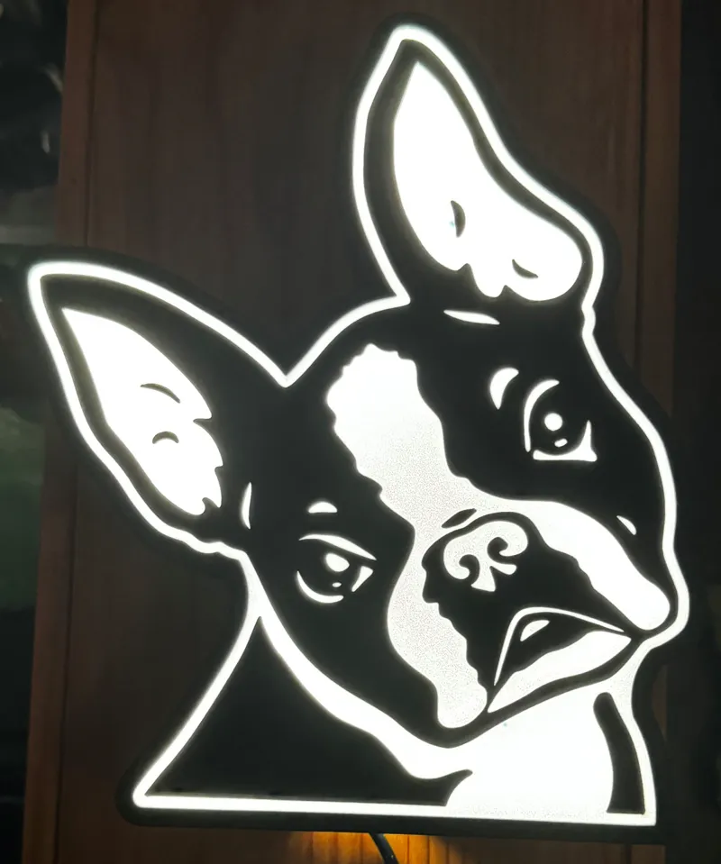Boston Terrier light box
