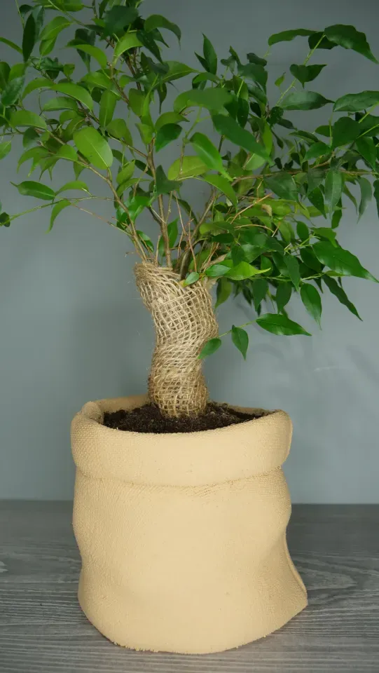 vase for planter