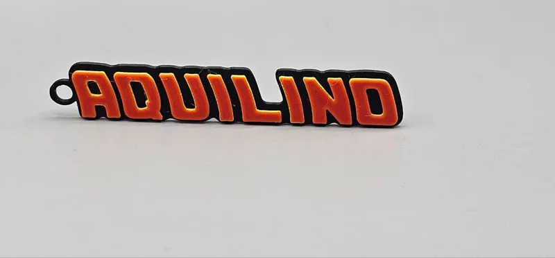 LLAVERO AQUILINO