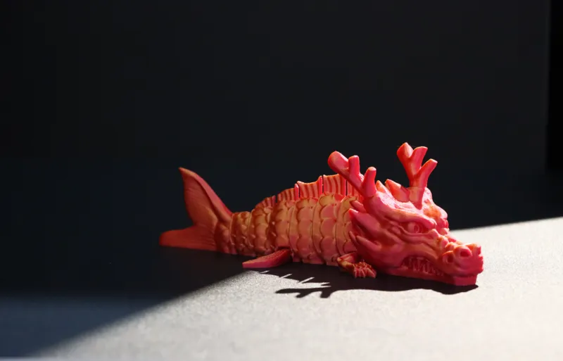 Lucky Dragon Fish/招财龙鱼