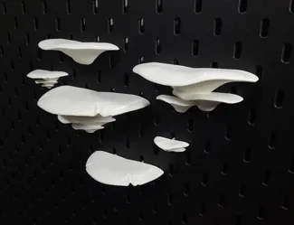 SKÅDIS Mushroom Shelves