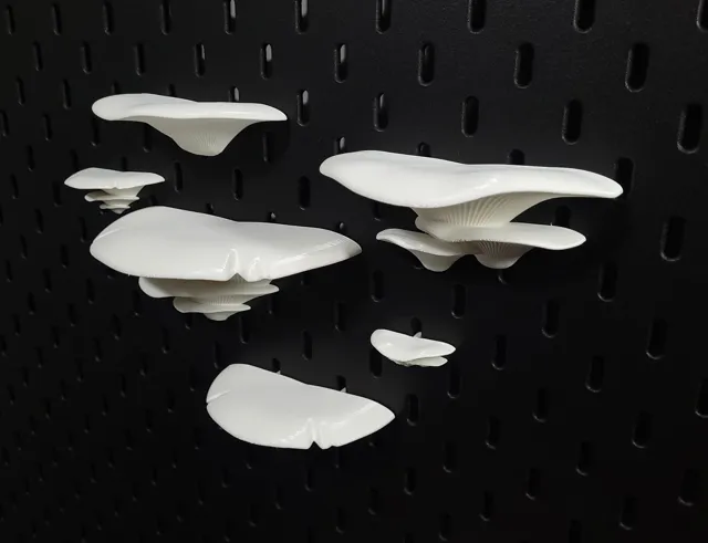 SKÅDIS Mushroom Shelves