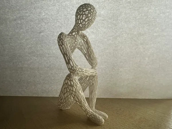 https://makerworld.bblmw.com/makerworld/model/DSM00000000174685/design/2024-02-06_e54be6fe09df7.jpg