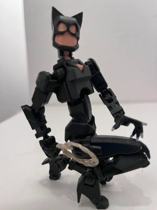 https://makerworld.bblmw.com/makerworld/model/DSM00000000175498/design/2024-02-07_31e26f3eece178.jpg