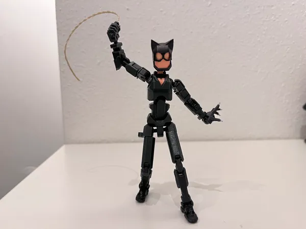https://makerworld.bblmw.com/makerworld/model/DSM00000000175501/design/2024-02-07_019c7823ca2168.jpg