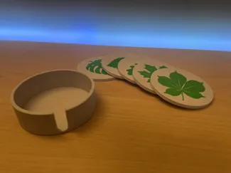 Botanical Leaf Coasters