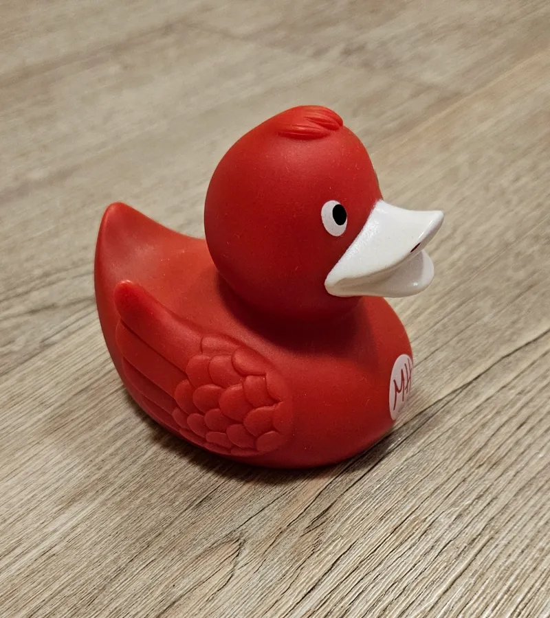Little Duck