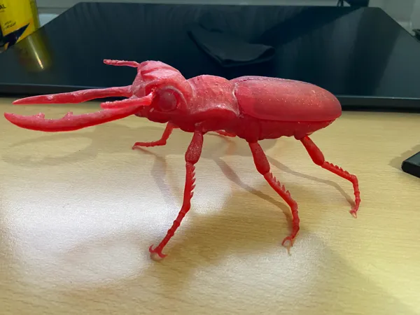 https://makerworld.bblmw.com/makerworld/model/DSM00000000177396/design/2024-02-08_24a0aa169872.jpg