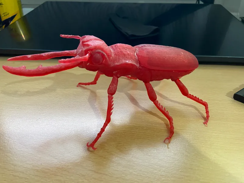 Bug