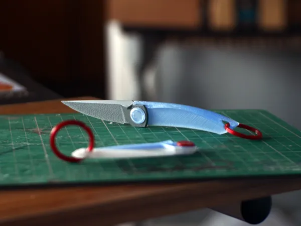https://makerworld.bblmw.com/makerworld/model/DSM00000000177547/design/2024-02-09_f6uthyeow2a0.jpg