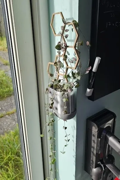 https://makerworld.bblmw.com/makerworld/model/DSM00000000177551/design/2024-02-09_zb4nsaaj2hj7.jpg