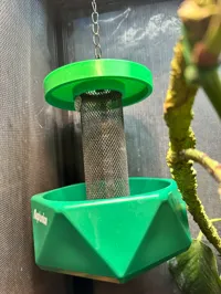 Cache anti-insectes pour mangeoire à caméléon — photo 1