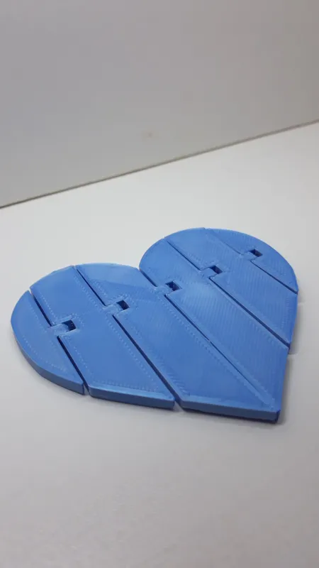 Flexi heart