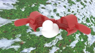 snow duck