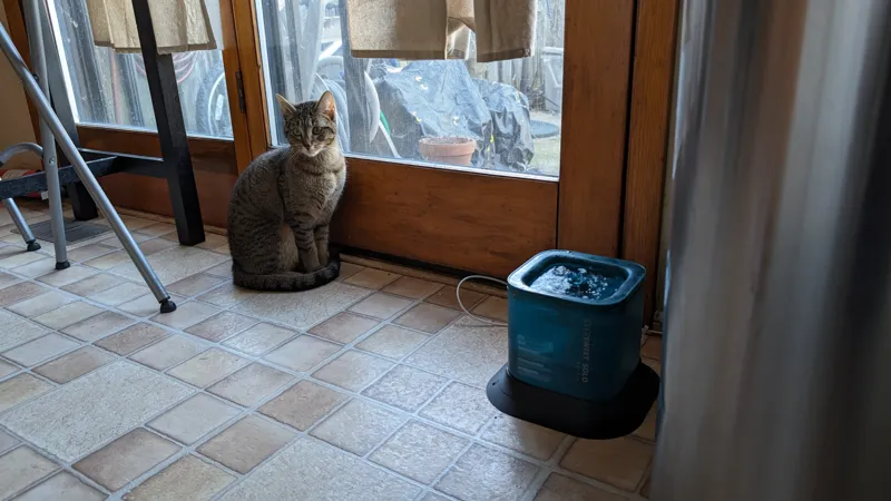 Petkit Eversweet Solo Anti-Spill Base