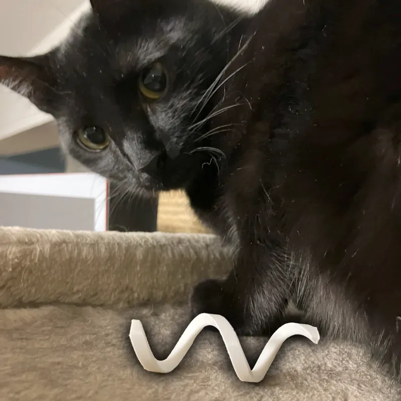 Coil Cat Toy