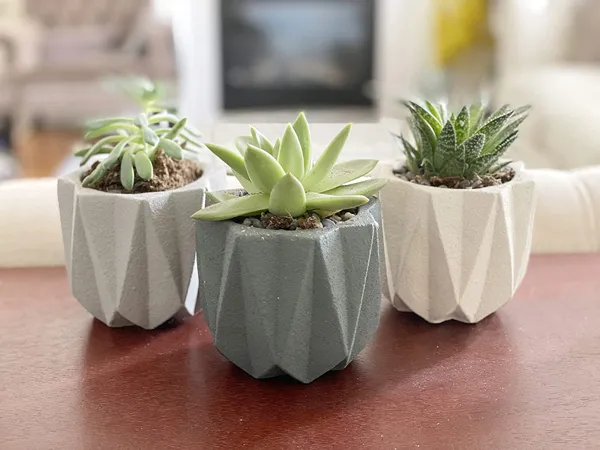 https://makerworld.bblmw.com/makerworld/model/DSM00000000184298/design/2024-02-13_vpfohmg8liuf.jpg