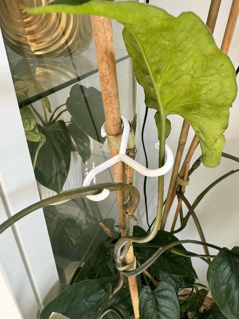 Plant Support Hooks