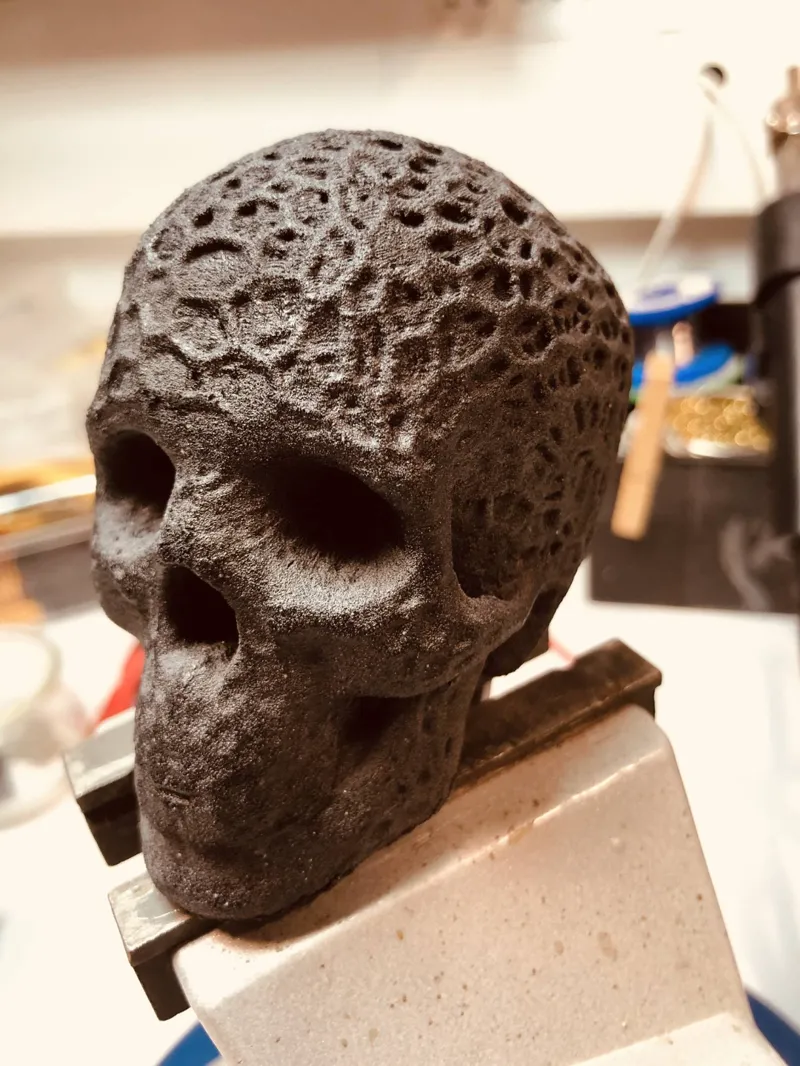 Organic Skull