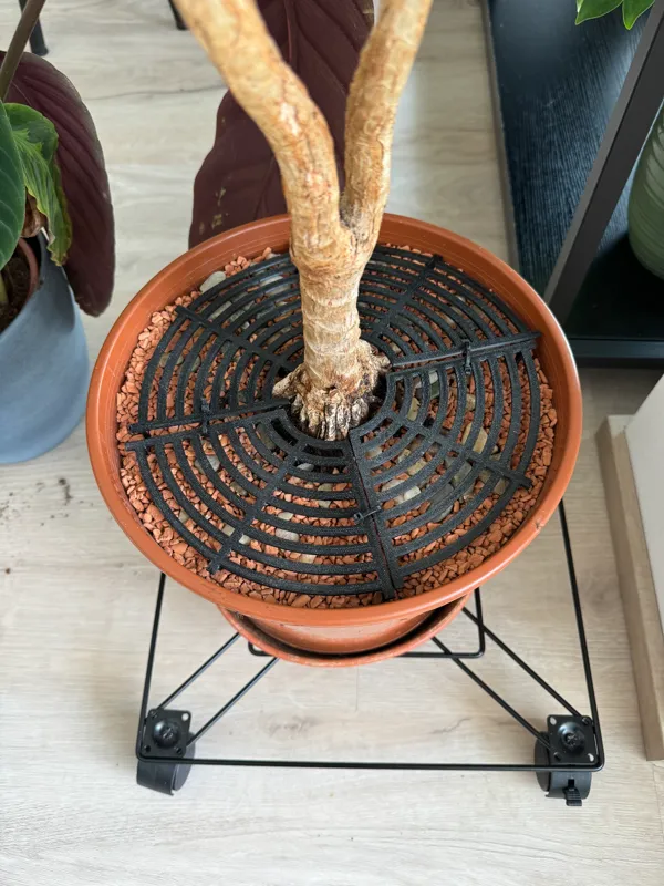 https://makerworld.bblmw.com/makerworld/model/DSM00000000188491/design/2024-02-16_428d680aed3d6.jpg